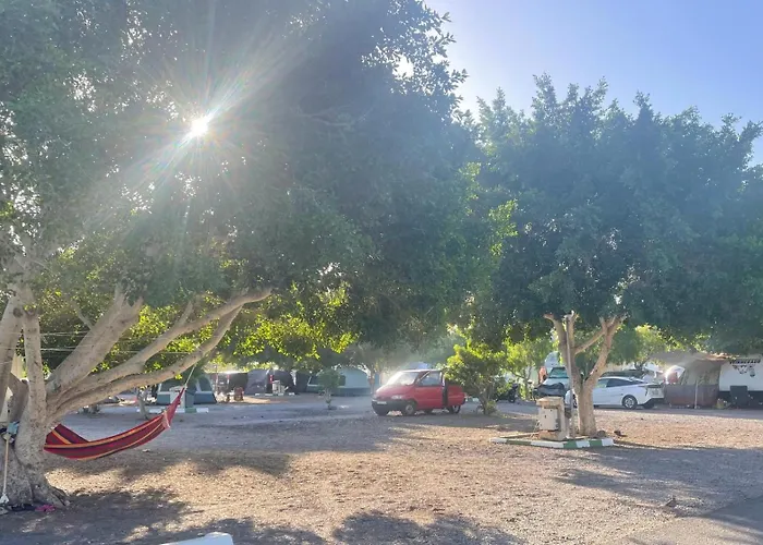 W Discoverycanarias Ii San Miguel de Abona